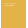 Skabelon 2 PowerPoint - City Info